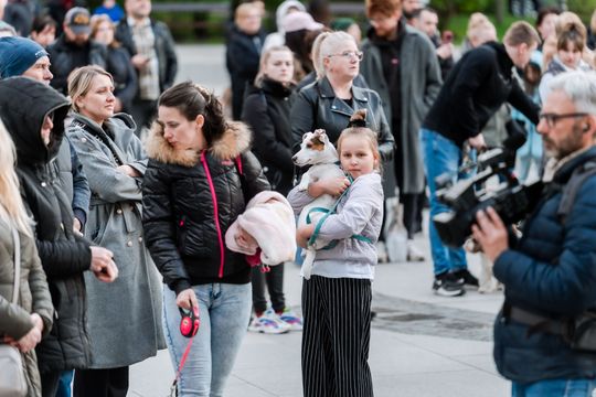 Minuta ciszy dla posła Łukasza Litewki (zdjęcia)