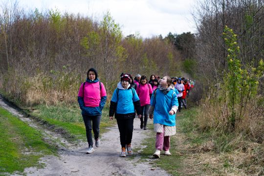 Święto sadzenia lasu (zdjęcia)
