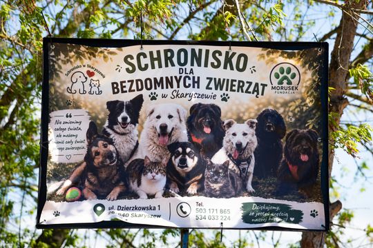 Piknik w schronisku dla zwierząt w Skaryszewie (zdjęcia)