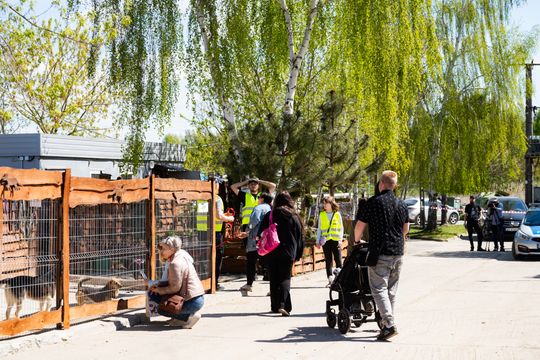 Piknik w schronisku dla zwierząt w Skaryszewie (zdjęcia)