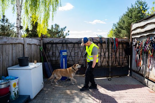 Piknik w schronisku dla zwierząt w Skaryszewie (zdjęcia)