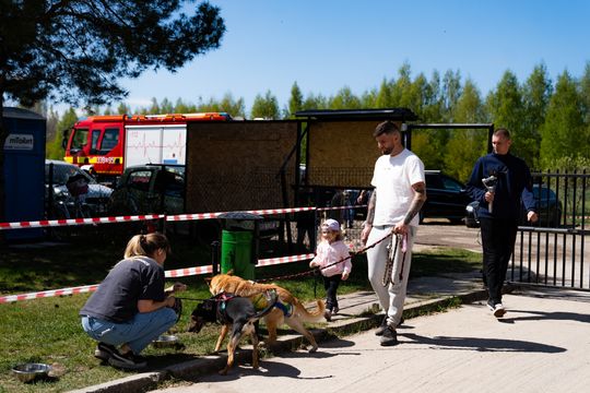 Piknik w schronisku dla zwierząt w Skaryszewie (zdjęcia)