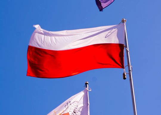 zdj (27).jpg