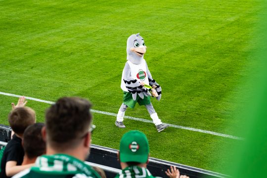 Radomiak Radom - Lechia Gdańsk (zdjęcia)