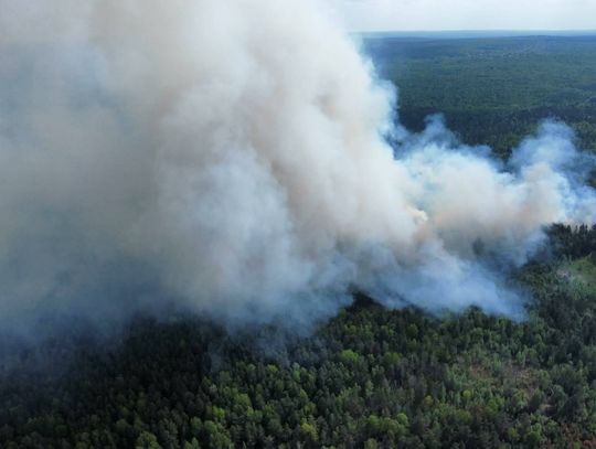 Pożar lasu w Chlewiskach koło Szydłowca (zdjęcia z drona)