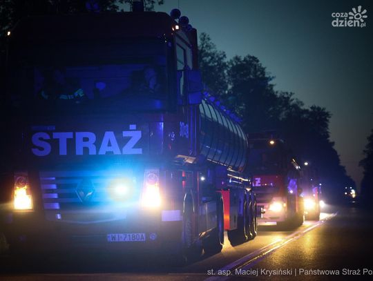 Pożary lasów na Mazowszu. W akcji 300 strażaków