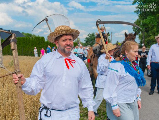 Insceniazacja tradycyjnych żniw w Wolskiej Dąbrowie (zdjęcia)