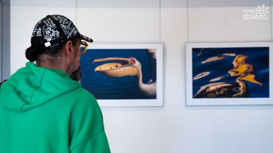 Wernisaż wystawy fotografii Elżbiety Rogaczewskiej-Czępińskiej (zdjęcia)