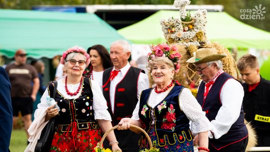 Dożynki powiatowe w Wierzbicy (zdjęcia)