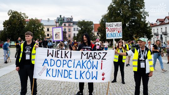 Marsz adopciaków i kundelków (zdjęcia)