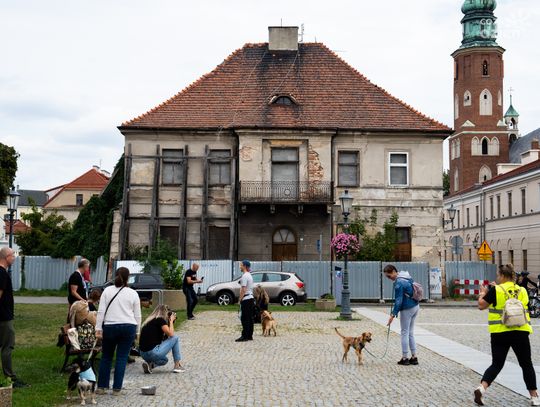 Marsz adopciaków i kundelków (zdjęcia)