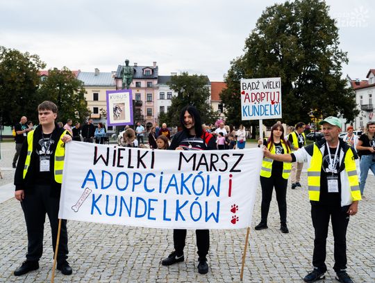 Marsz adopciaków i kundelków (zdjęcia)