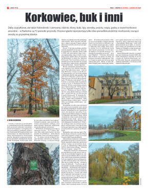 Tygodnik "7 Dni" nr 744 z 20.11.2020 - strona 6