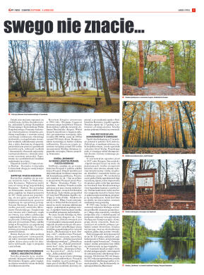 Tygodnik "7 Dni" nr 751 z dn. 29.01.2021 - strona 7