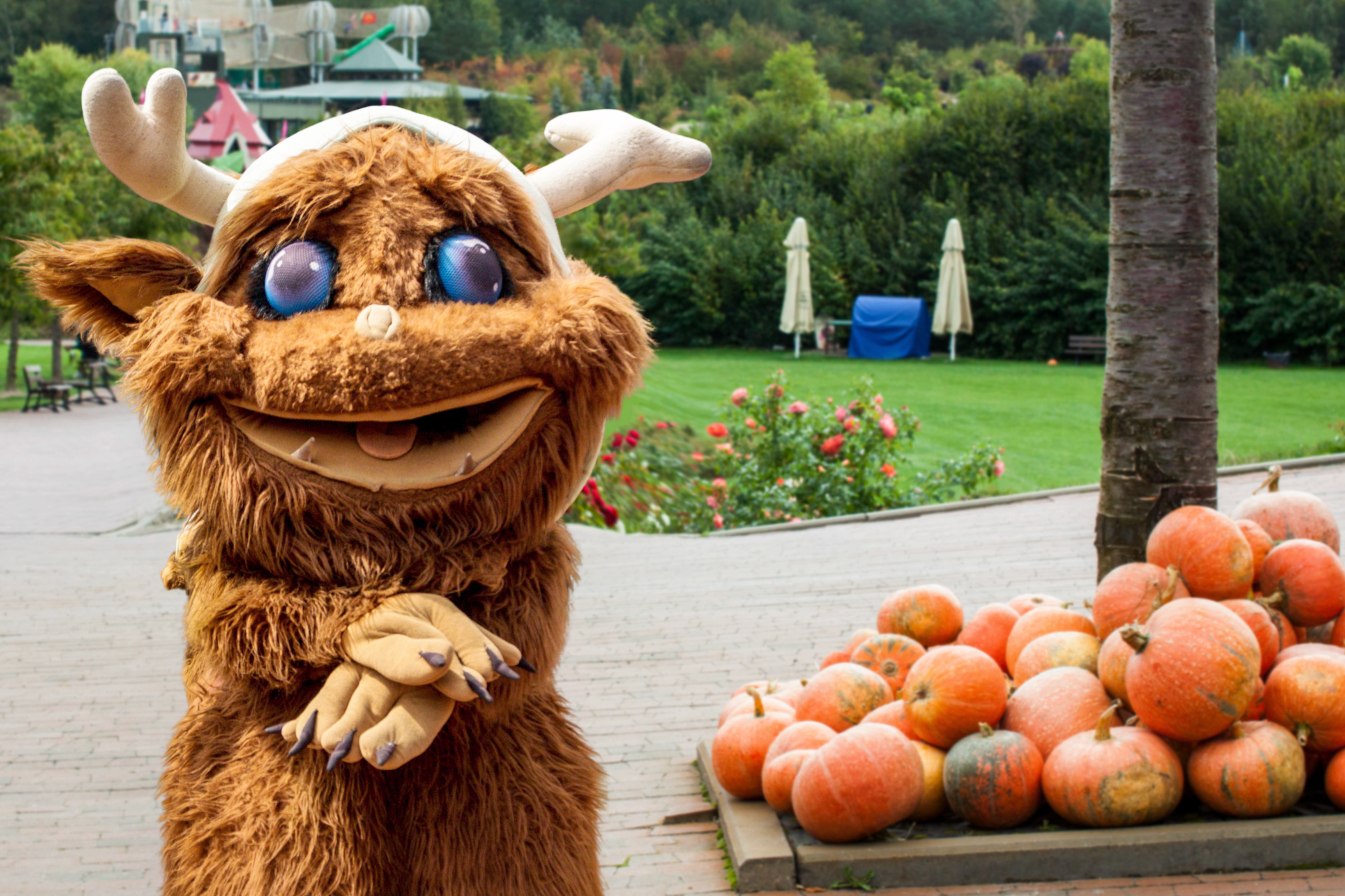 kopia-mordol-na-tle-ogrodu-i-dyn-2020