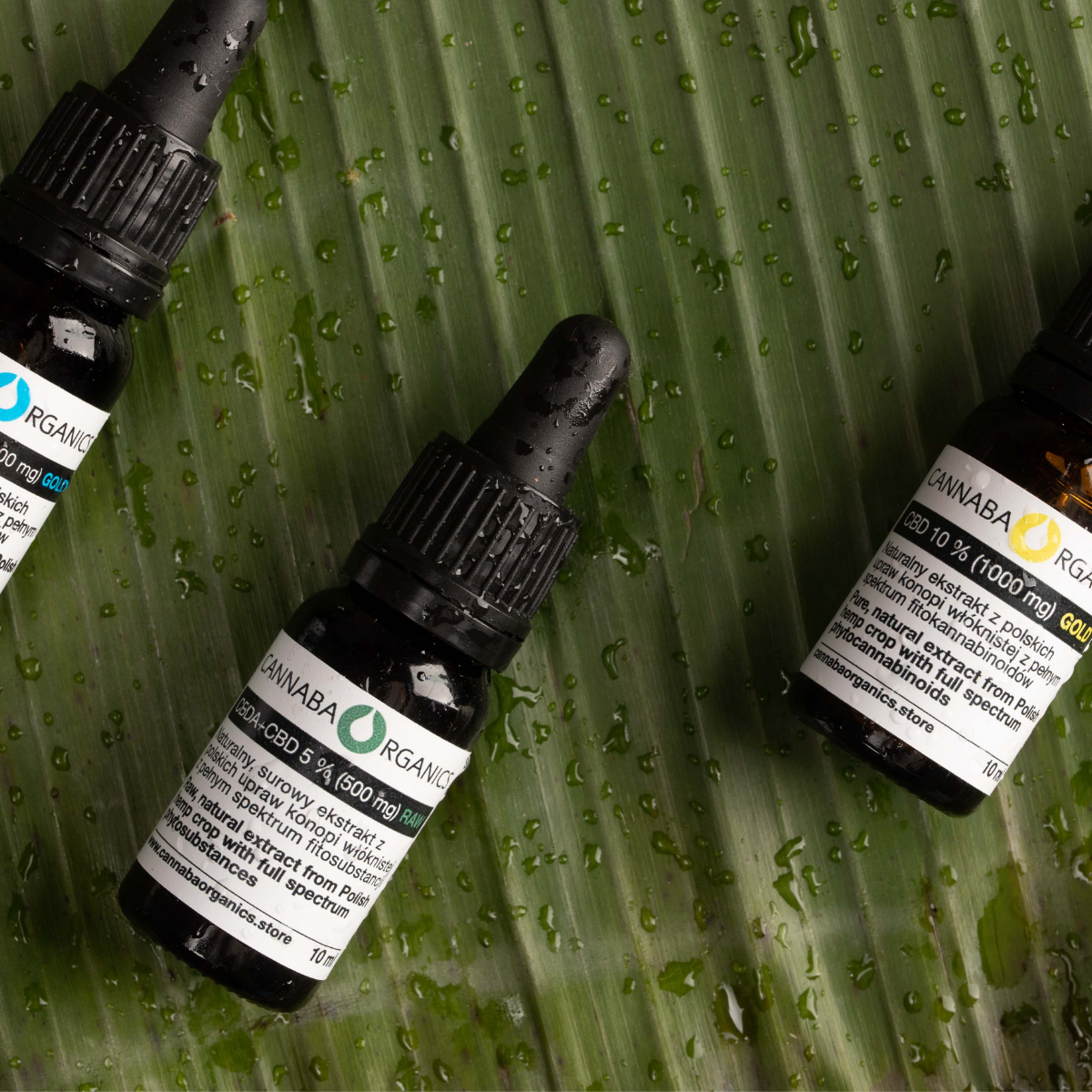 czym-jest-olejek-cbg