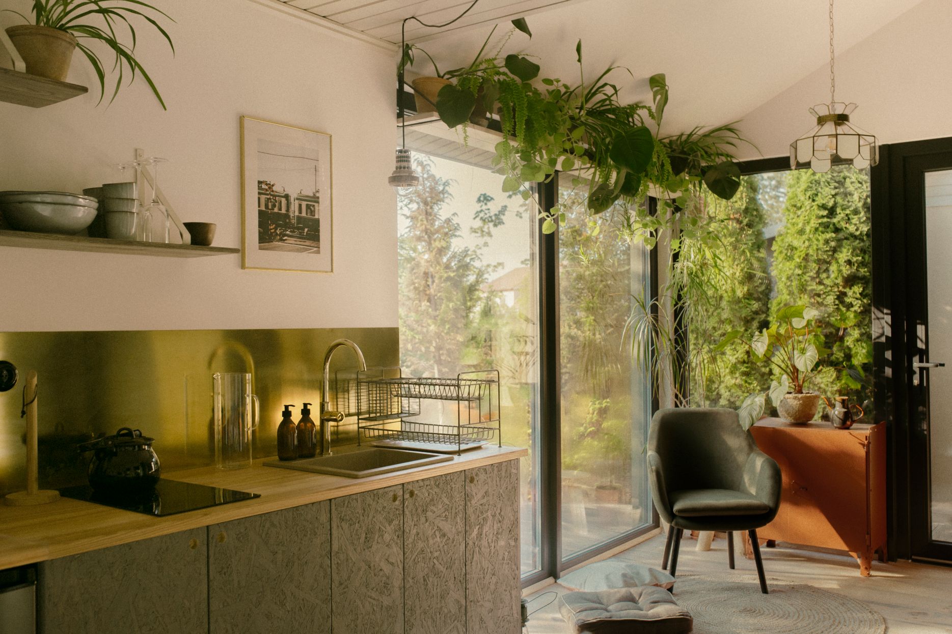 parki-narodowe-radom-alohacamp-mech-i-szyszka