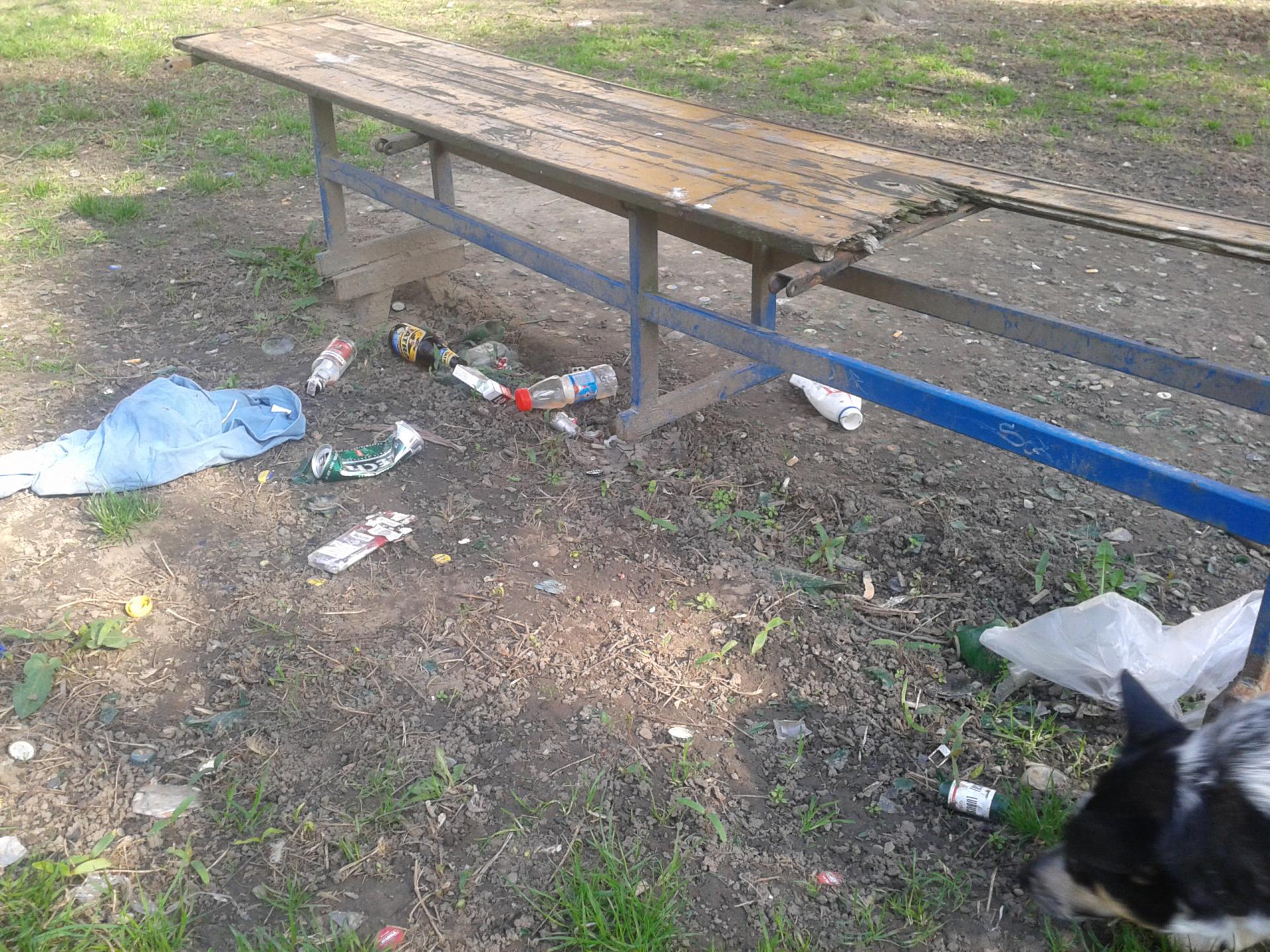 Śmieci przy ul. Struga Śmieci przy ul. Struga