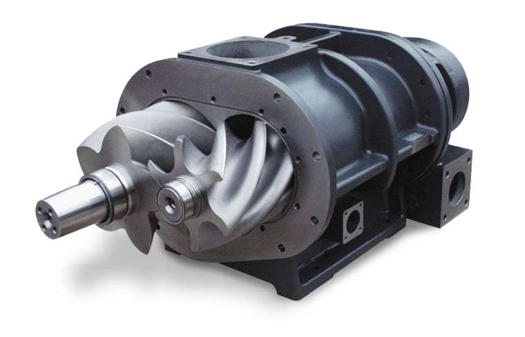 sercesprezarkisrubowej