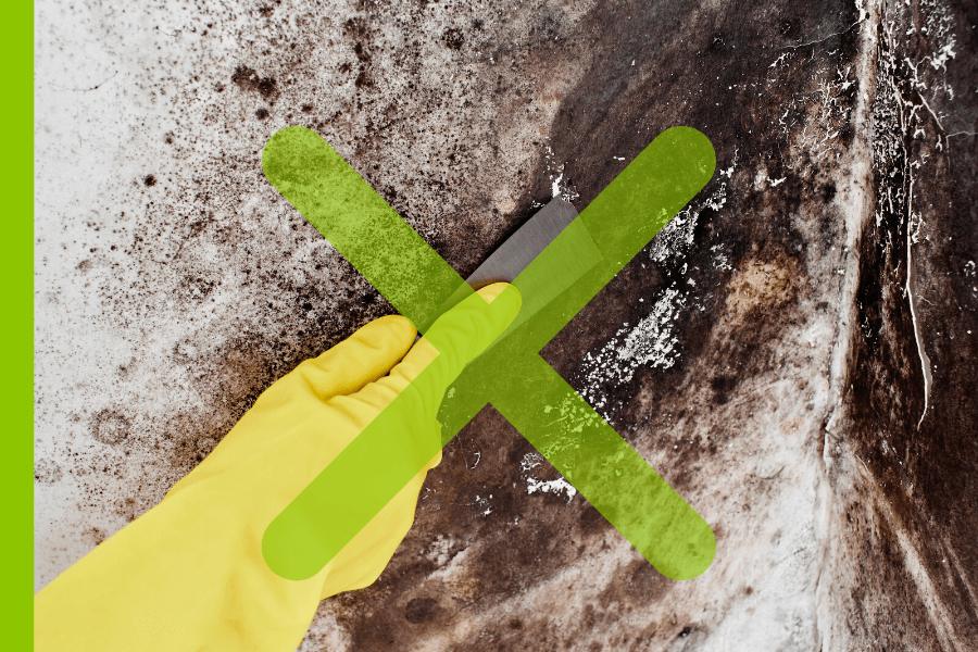 wentylacja-mechaniczna-stop-dla-plesni-i-grzybow