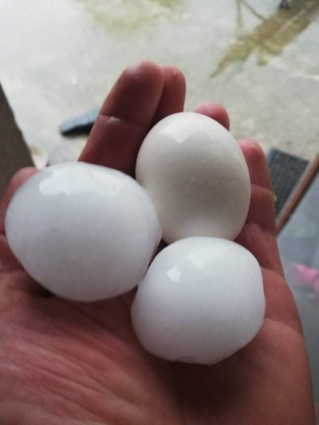 203397262_324524965897069_521950550895898158_n