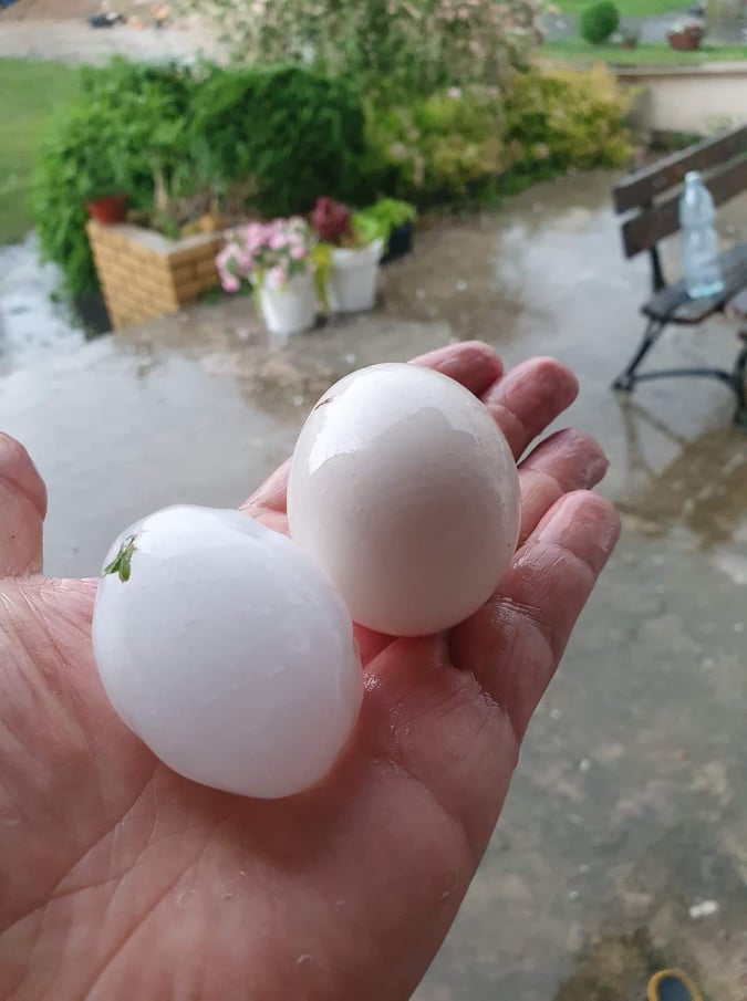 205998167_4001417369913677_603225463121024846_n