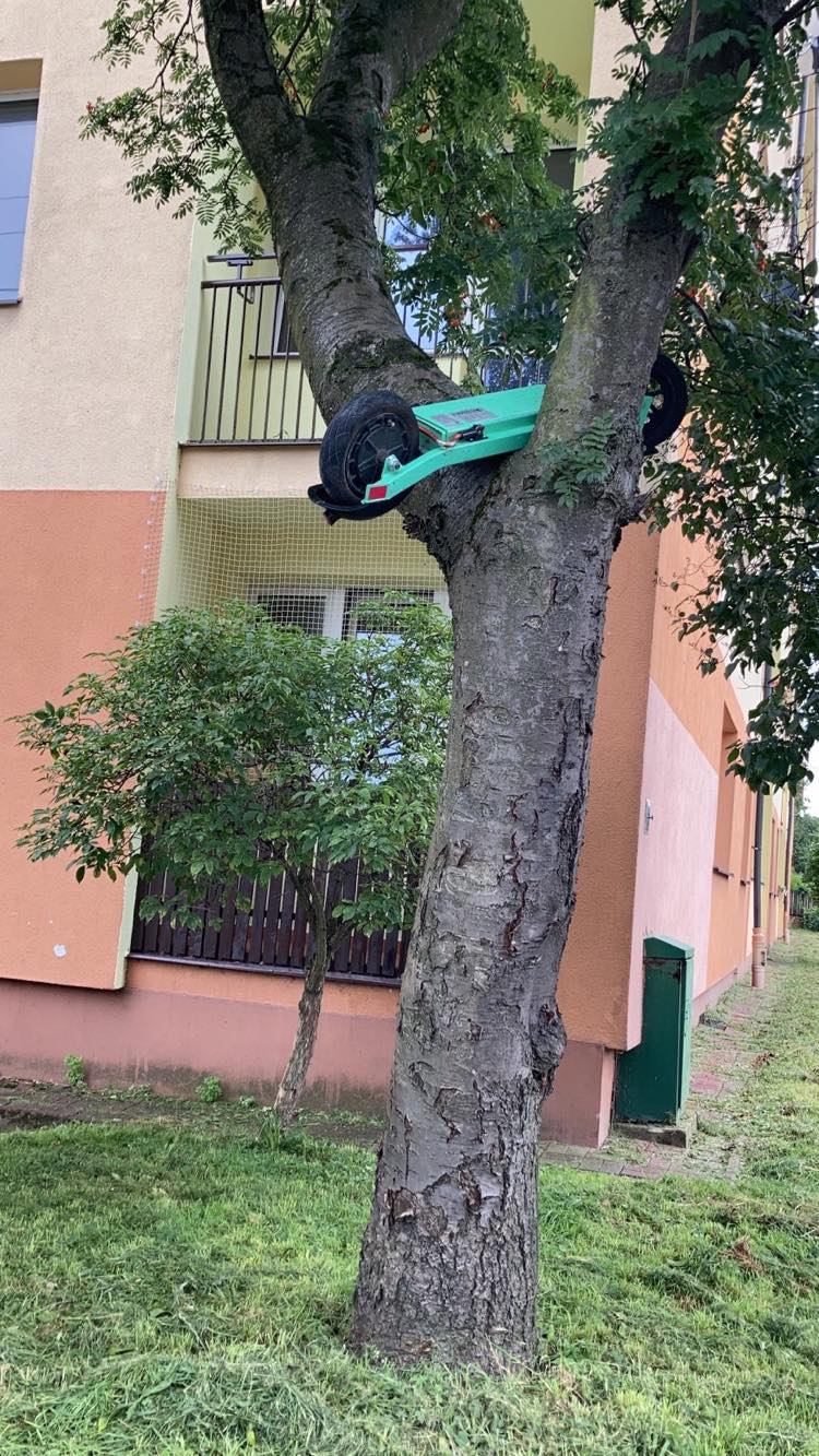 240138690_378697520334345_5736044064407654269_n