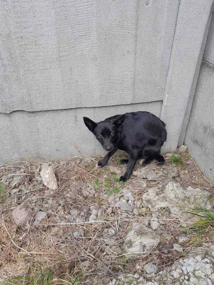 340030230_440962521568334_8532677859738302836_n