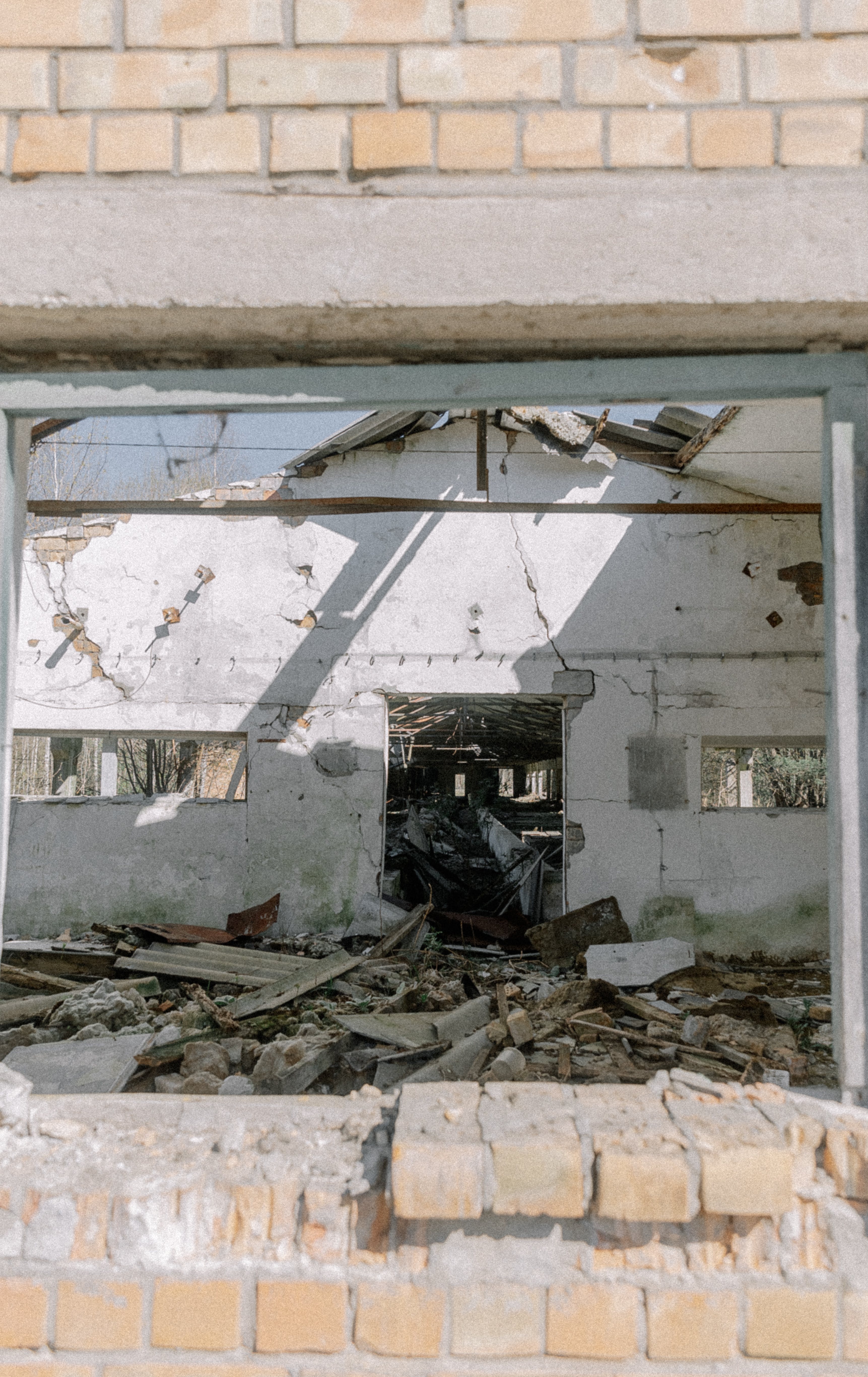 pexels-elina-volkova-16558829