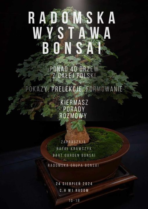 bonsai