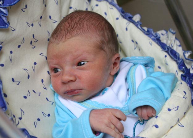 Dawid Skowron Dawid Skowron