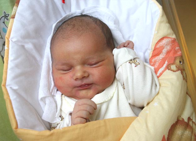 Magdalena Mital Magdalena Mital