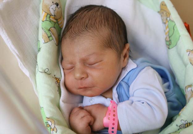 Antoś Rębisz Antoś Rębisz