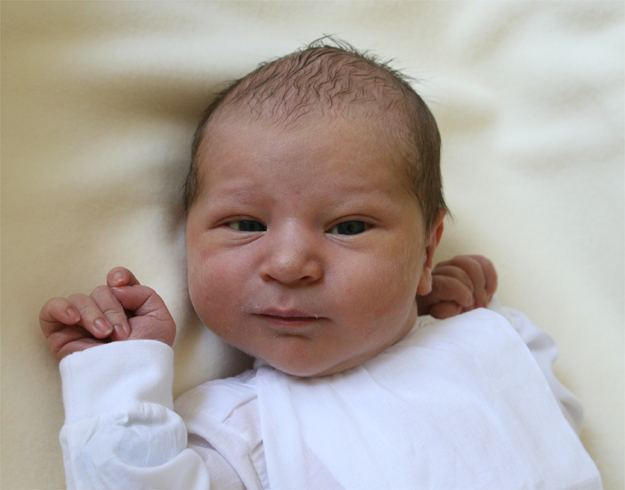 Antoś Sikorski Antoś Sikorski