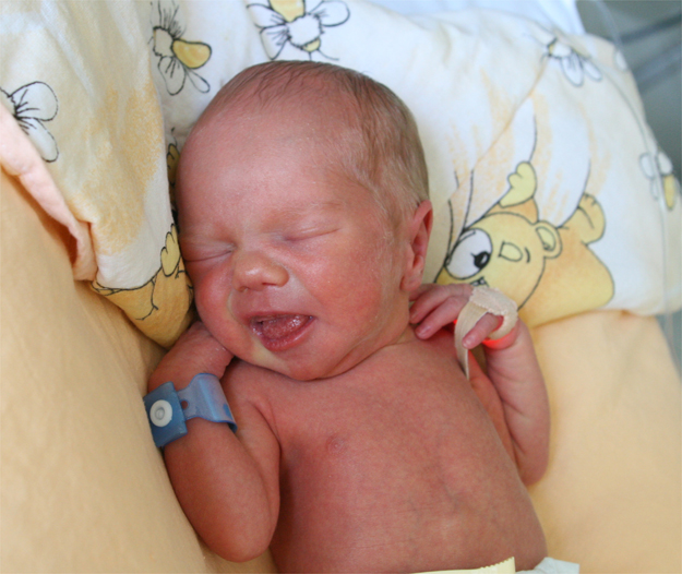 Adaś Fomin Adaś Fomin