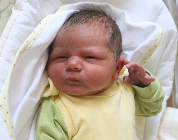 Bartuś Gregorczyk Bartuś Gregorczyk