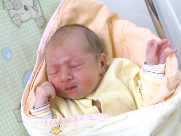 Alicja Michalczak Alicja Michalczak