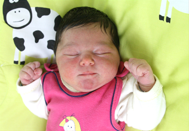 Nikola Lech Nikola Lech