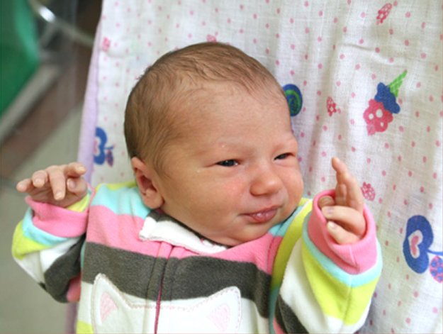 Pola Skrok Pola Skrok