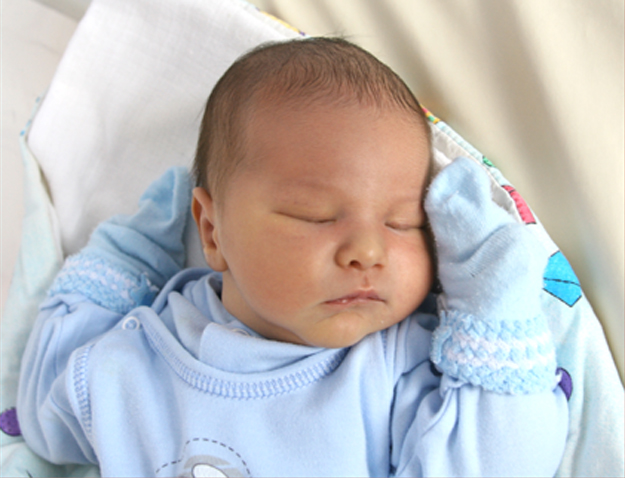 Wojtuś Fortuna Wojtuś Fortuna