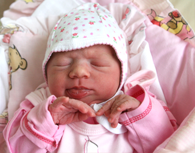 Julia Chochół Julia Chochół