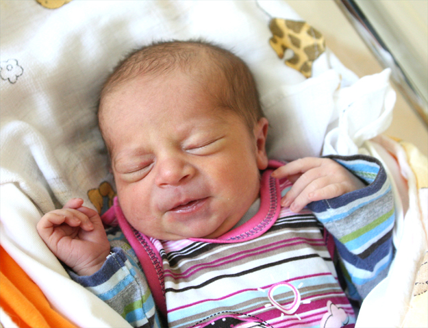 Julia Piasek Julia Piasek