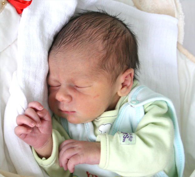 Bartosz Rolnik Bartosz Rolnik