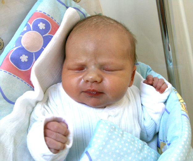 Rozalia Ulaska Rozalia Ulaska