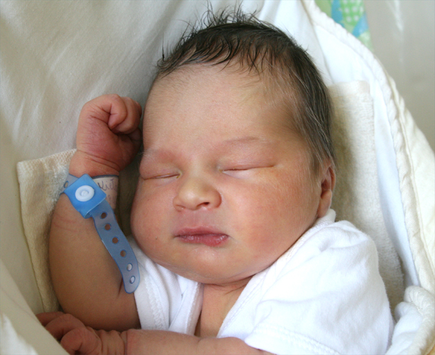 Kubuś Kiełbasa Kubuś Kiełbasa