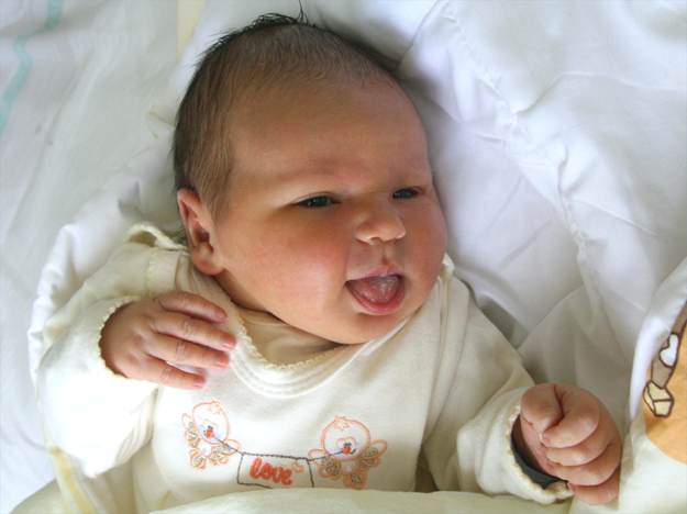 Pola Maciejec Pola Maciejec