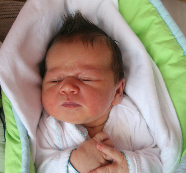 Oliwka Jelonek Oliwka Jelonek