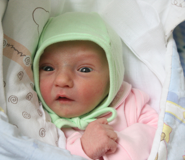 Cókra Doroty i Mariusza Piekarskich Cókra Doroty i Mariusza Piekarskich