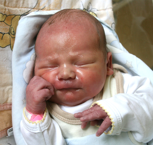 Antoś Kwietniweski Antoś Kwietniweski