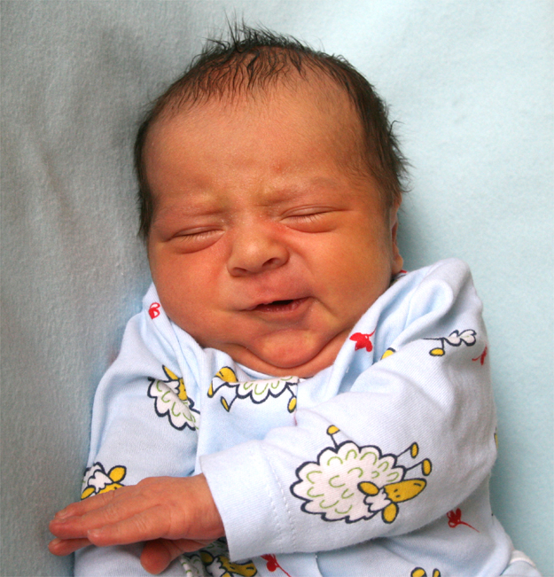 Kubuś Zamkowski Kubuś Zamkowski